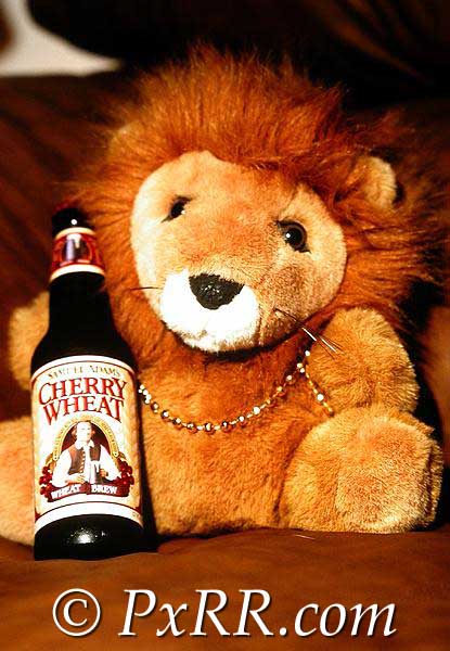  Lion with Beer 